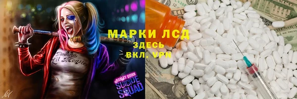 твердый Горняк