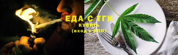 МДПВ Гусев