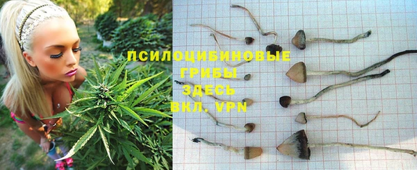 МДПВ Вязьма