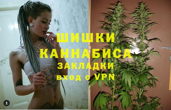 бошки Вяземский