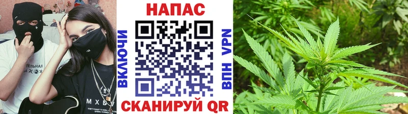 Бошки марихуана план  Зверево 